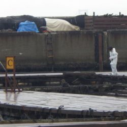 淡路じゃのひれフィッシングパーク 釣果