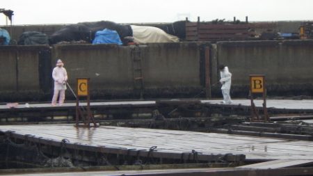 淡路じゃのひれフィッシングパーク 釣果