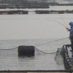 淡路じゃのひれフィッシングパーク 釣果