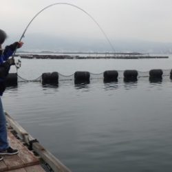 淡路じゃのひれフィッシングパーク 釣果
