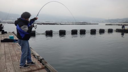 淡路じゃのひれフィッシングパーク 釣果