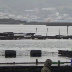 淡路じゃのひれフィッシングパーク 釣果