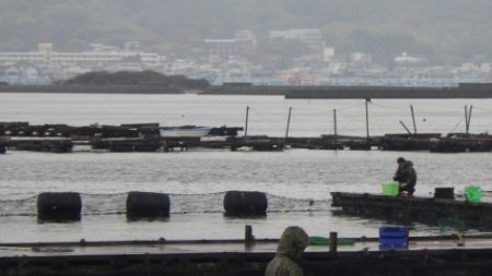 淡路じゃのひれフィッシングパーク 釣果