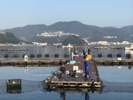 淡路じゃのひれフィッシングパーク 釣果