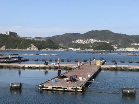 淡路じゃのひれフィッシングパーク 釣果