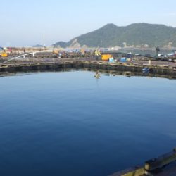 淡路じゃのひれフィッシングパーク 釣果