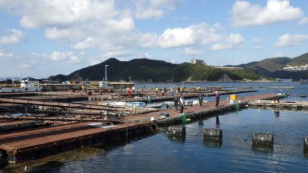 淡路じゃのひれフィッシングパーク 釣果