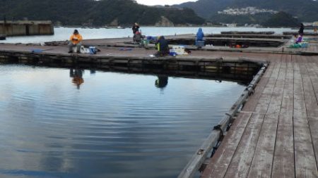 淡路じゃのひれフィッシングパーク 釣果