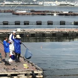 淡路じゃのひれフィッシングパーク 釣果