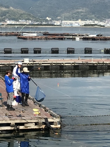 淡路じゃのひれフィッシングパーク 釣果