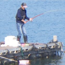 淡路じゃのひれフィッシングパーク 釣果