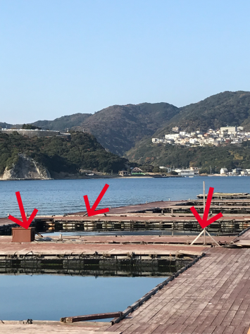 淡路じゃのひれフィッシングパーク 釣果