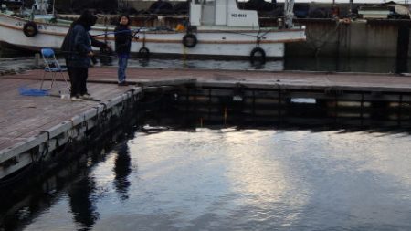 淡路じゃのひれフィッシングパーク 釣果