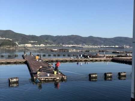 淡路じゃのひれフィッシングパーク 釣果