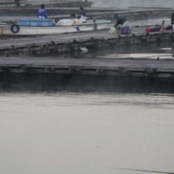 淡路じゃのひれフィッシングパーク 釣果