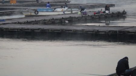 淡路じゃのひれフィッシングパーク 釣果