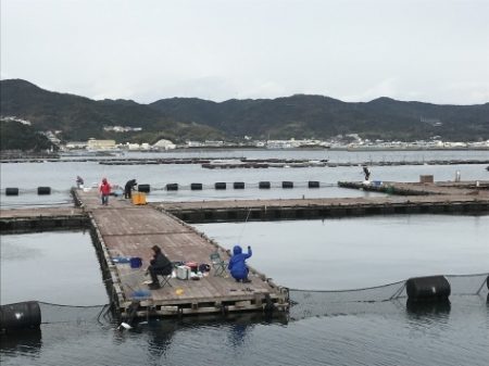 淡路じゃのひれフィッシングパーク 釣果