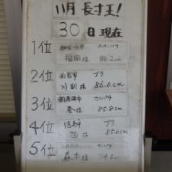 淡路じゃのひれフィッシングパーク 釣果