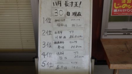 淡路じゃのひれフィッシングパーク 釣果