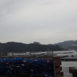 淡路じゃのひれフィッシングパーク 釣果