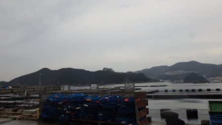 淡路じゃのひれフィッシングパーク 釣果