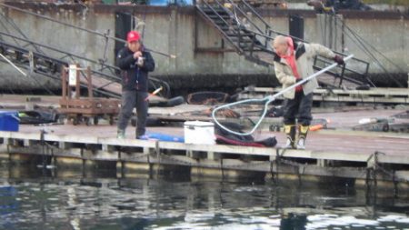 淡路じゃのひれフィッシングパーク 釣果