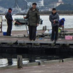 淡路じゃのひれフィッシングパーク 釣果