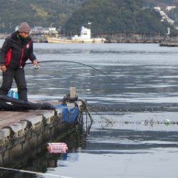淡路じゃのひれフィッシングパーク 釣果