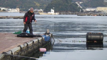 淡路じゃのひれフィッシングパーク 釣果