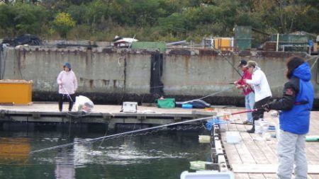 淡路じゃのひれフィッシングパーク 釣果