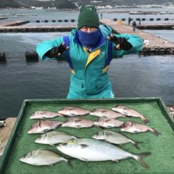 淡路じゃのひれフィッシングパーク 釣果