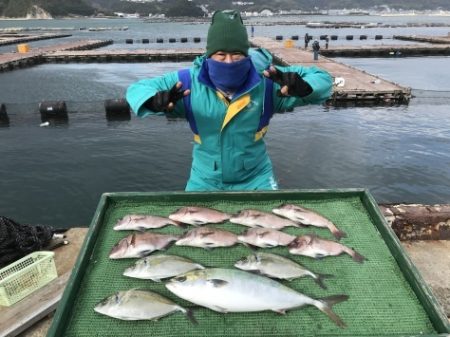淡路じゃのひれフィッシングパーク 釣果