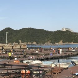 淡路じゃのひれフィッシングパーク 釣果