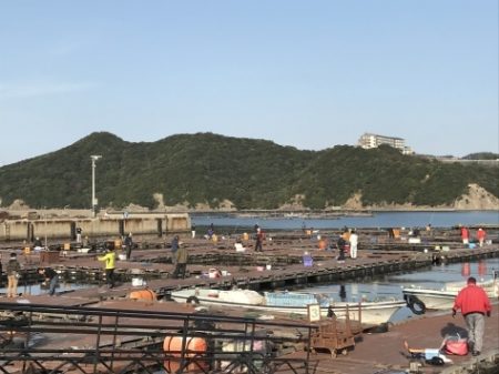 淡路じゃのひれフィッシングパーク 釣果