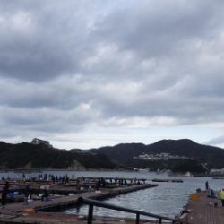 淡路じゃのひれフィッシングパーク 釣果