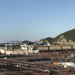 淡路じゃのひれフィッシングパーク 釣果