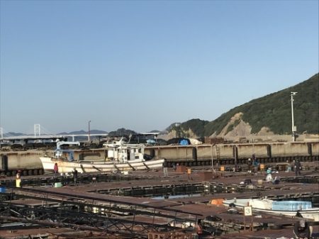 淡路じゃのひれフィッシングパーク 釣果