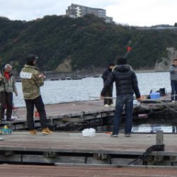 淡路じゃのひれフィッシングパーク 釣果
