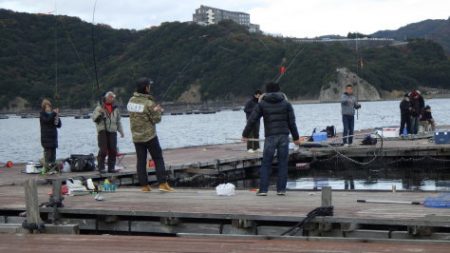 淡路じゃのひれフィッシングパーク 釣果