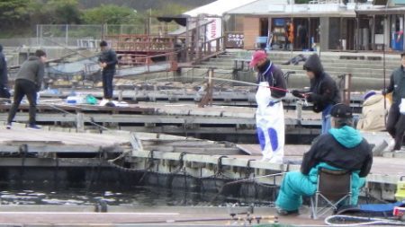 淡路じゃのひれフィッシングパーク 釣果