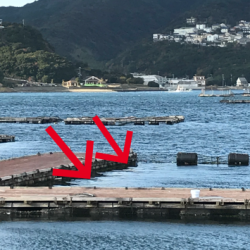 淡路じゃのひれフィッシングパーク 釣果