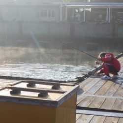 淡路じゃのひれフィッシングパーク 釣果