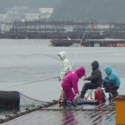 淡路じゃのひれフィッシングパーク 釣果