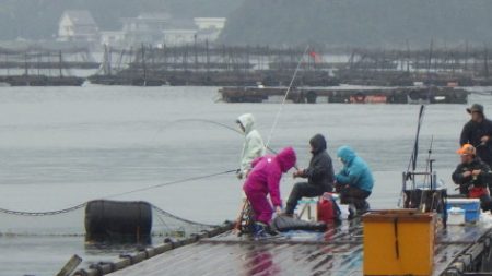 淡路じゃのひれフィッシングパーク 釣果