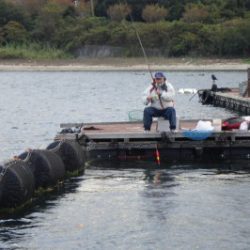 淡路じゃのひれフィッシングパーク 釣果
