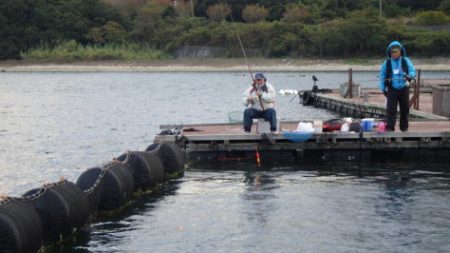 淡路じゃのひれフィッシングパーク 釣果