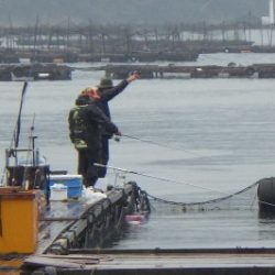 淡路じゃのひれフィッシングパーク 釣果
