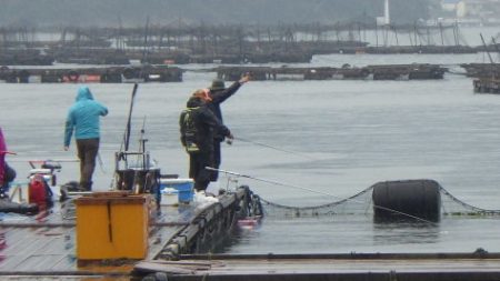 淡路じゃのひれフィッシングパーク 釣果