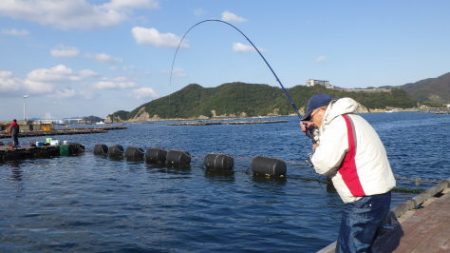 淡路じゃのひれフィッシングパーク 釣果