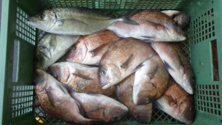 淡路じゃのひれフィッシングパーク 釣果